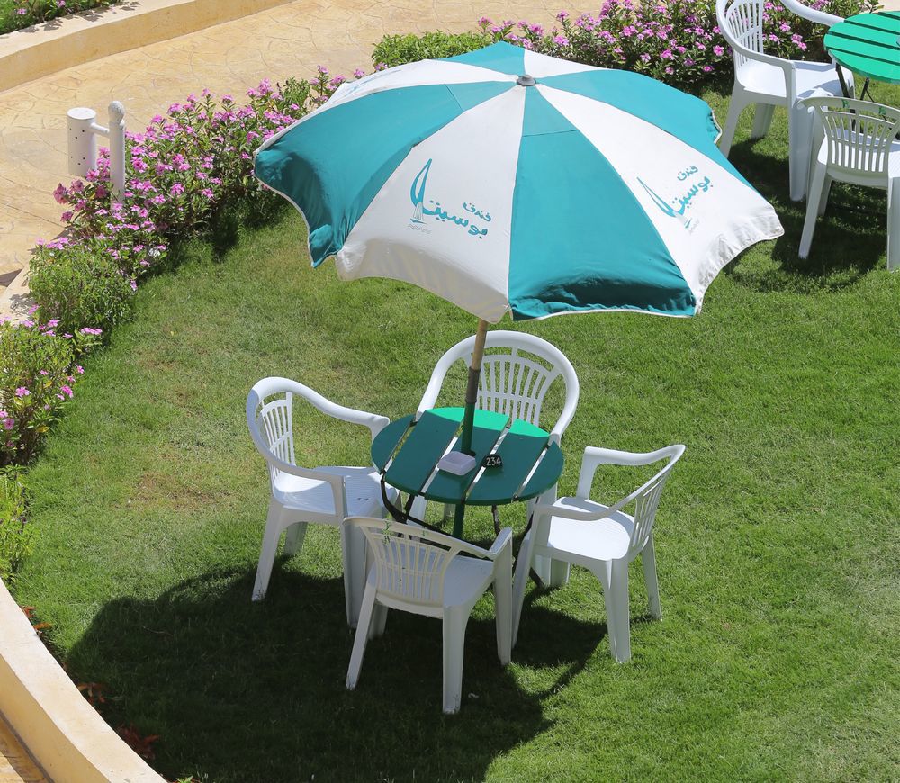 الحديقة photo
